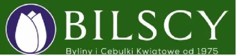 Logo — bilscy.info